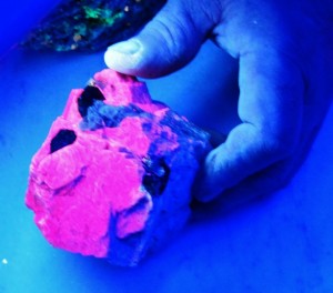 flourescent1