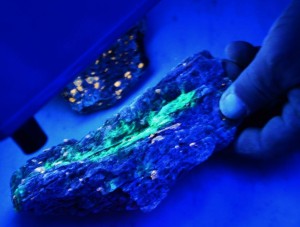 flourescent3