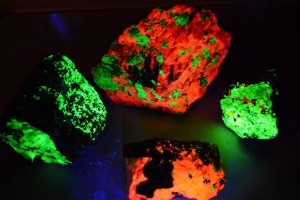 flourescent4