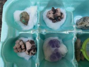 Pebble Pups Specimens 2